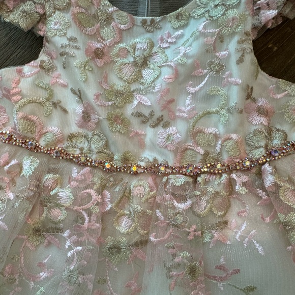 NWT Rare Editions Baby Girl Embroidered Dress with Matching Bloomers 24 Months - Picture 5 of 7